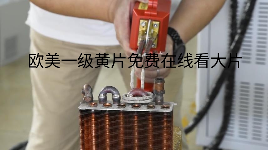 10KW双头手持式加热机