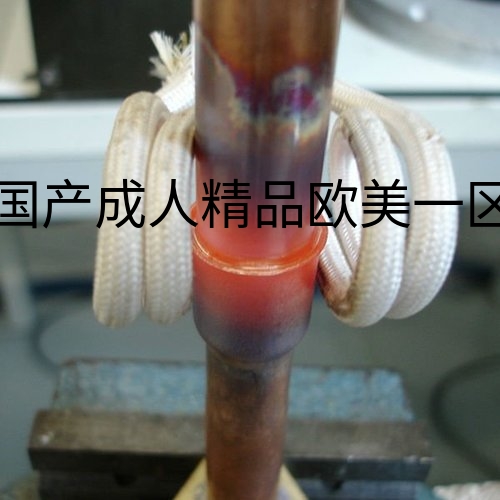 induction-brazing-500x500.jpg?title=国产成人精品欧美一区