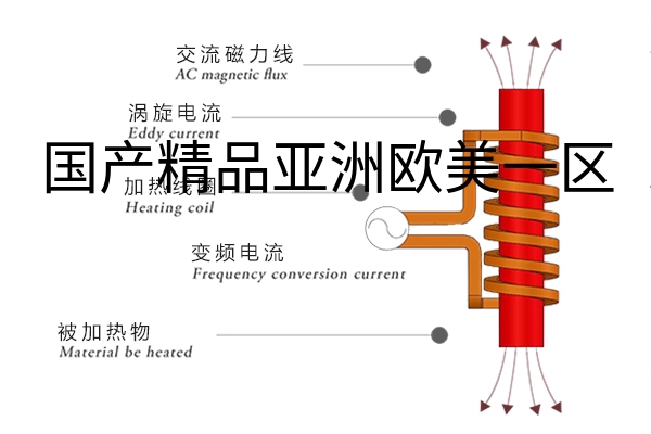 感应加热方式.jpg?title=国产精品亚洲欧美一区