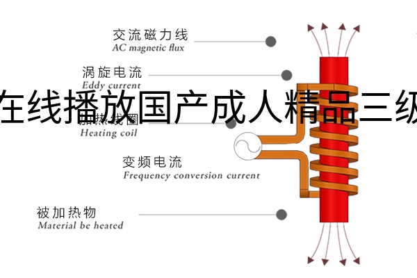 感应加热方式.jpg?title=在线播放国产成人精品三级