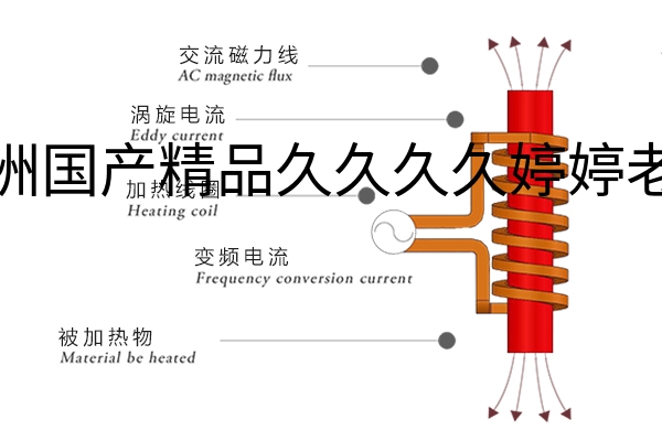 感应加热方式.jpg?title=亚洲国产精品久久久久婷婷老年