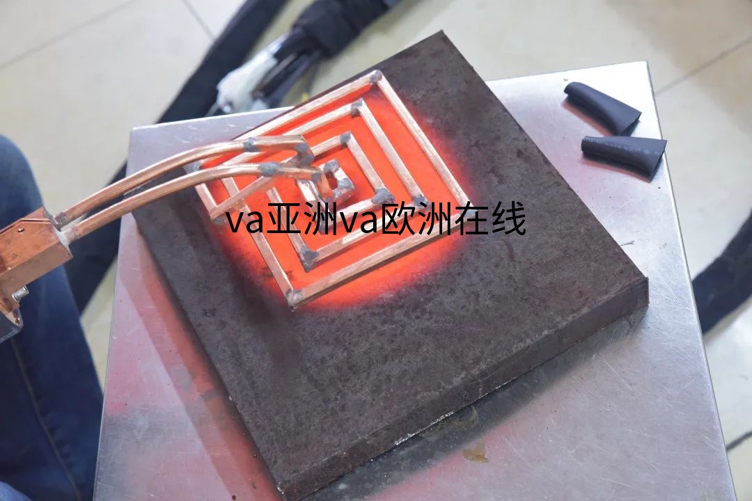 4.jpg?title=va亚洲va欧洲在线